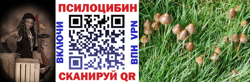 Галлюциногенные грибы Psilocybe  Купить  Михайловка 